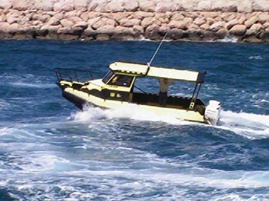 Poly Workboat 8m